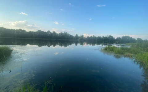 В Пензенской области отдыхающие, плывшие на лодке по Суре, наткнулись на труп