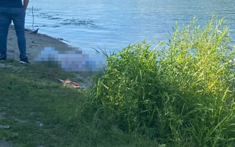 Очевидцы: в Пензе был найден утонувший человек