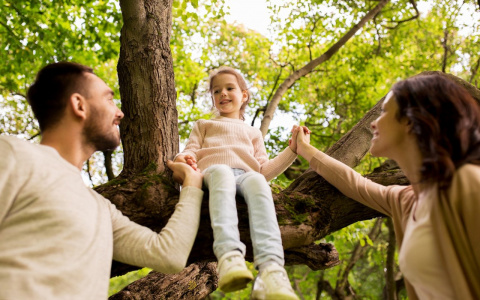 Въезжай легко в квартиры с готовой отделкой в ГК “Территория жизни” !