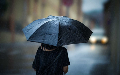 «Придут дожди»: метеорологи сообщили прогноз погоды в регионе