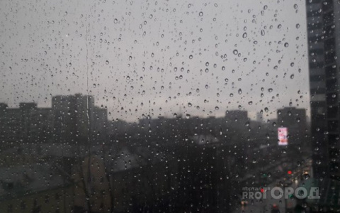 «Дожди и грозы»: синоптики озвучили прогноз погоды в регионе