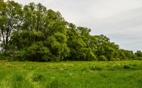 Поиски пропавшего без вести 49-летнего пензенца завершены
