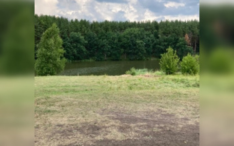 Следователи организовали проверку после гибели мужчины в пруду в Пензенской области