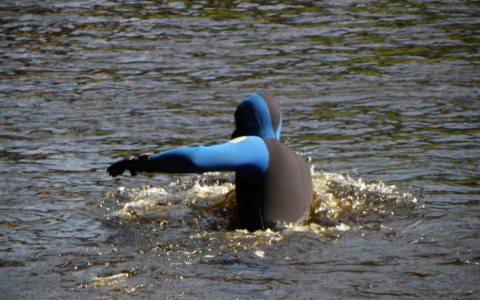 Тело мужчины извлекли из пруда в Пензенской области