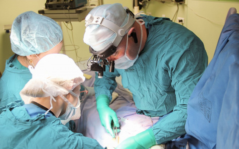 За сутки в пензенском регионе скончались 22 пациента с COVID-19