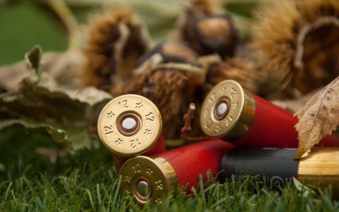 Житель Пензенской области незаконно делал боеприпасы