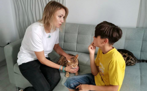 Партия «Новые люди» открыла в Пензе КотэХаус - центр лечения кошками