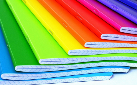 Пензенских родителей возмутили требования учителей к цвету тетрадей