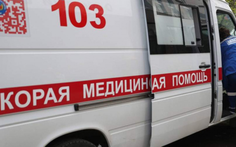 На трассе «Тамбов-Пенза» грузовик насмерть сбил пешехода