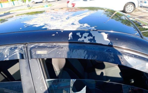 «Месть»: в центре Пензы автомобиль облили жидкостью для снятия краски