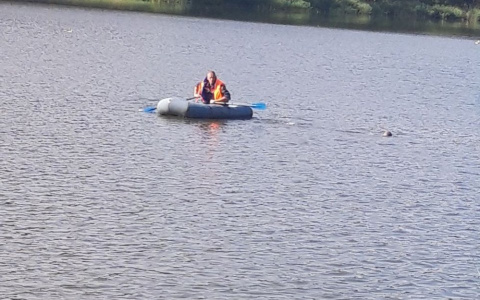 В водоеме около горбольницы в Пензе всплыл труп мужчины