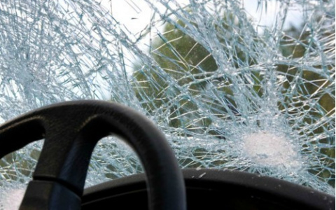 В Пензенской области на полевой дороге опрокинулся ВАЗ, водитель погиб