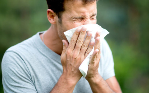 Носители этой группы крови чаще всего страдают от аллергии