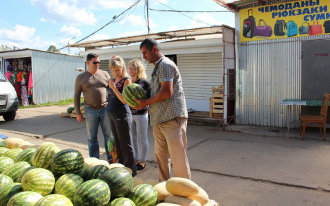 От каких болезней лечит арбуз и как правильно его выбрать: советы специалистов