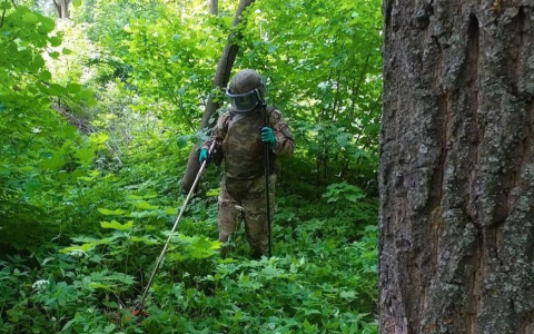 Пензенец во время прогулки обнаружил ящик с патронами