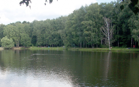 Следователи организовали проверку по факту смерти подростка в пруду поселка Нефтяник