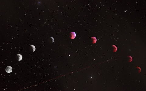 Что готовят для вас звезды? Астрологический прогноз для всех знаков на следующую неделю