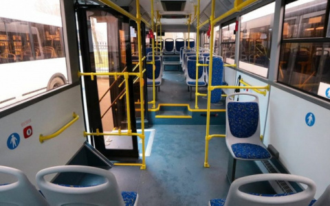 В Пензе с 1 сентября могут понизиться цены на маршрутки и автобусы