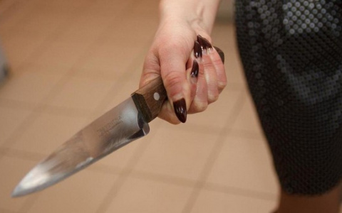 Жительница Пензенской области ранила мужа в попытке защитить ребенка