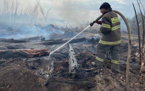 Пензенские спасатели круглосуточно борются с пожаром в Мордовском заповеднике