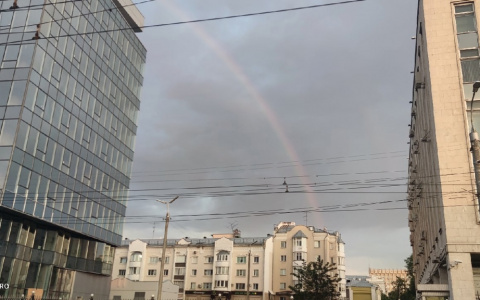 Львов ждёт успех, а Стрельцов - конфликты