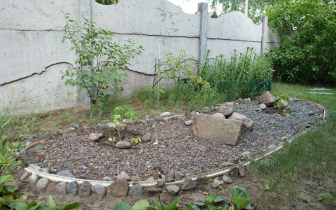 Находившийся в федеральном розыске мужчина найден на пензенской клумбе