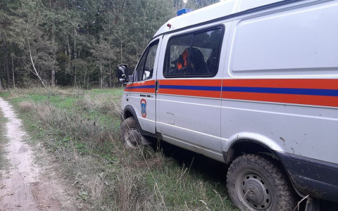 Пензенским спасателям удалось найти пропавшую в лесу 75-летнюю женщину