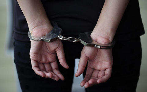 В Пензенской области мать задержали за долг по алиментам