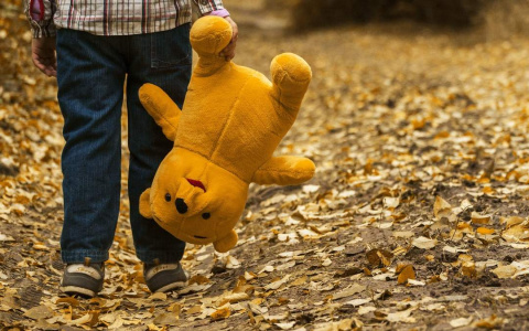 В Следственном комитете рассказали подробности о пропаже трех детей из Сурска