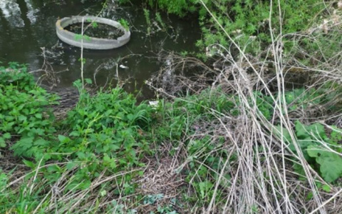 Пензенцев просят помочь с расследованием убийства матерью новорожденного