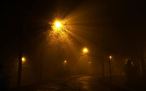 Фонари-призраки: пензячку поразил ответ администрации на жалобу