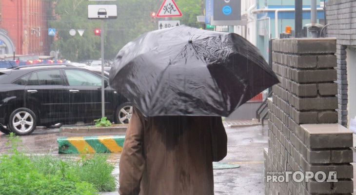 В понедельник в Пензе ожидается дождь и гроза