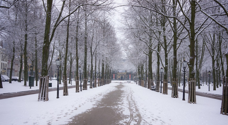 Во вторник, 22 января, в Пензе продолжится снегопад и сильно похолодает