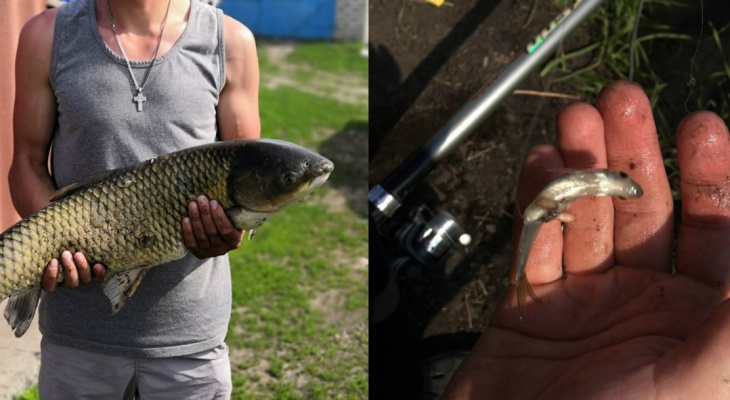 Пензенский улов: горожане хвастают в соцсетях пойманной рыбкой