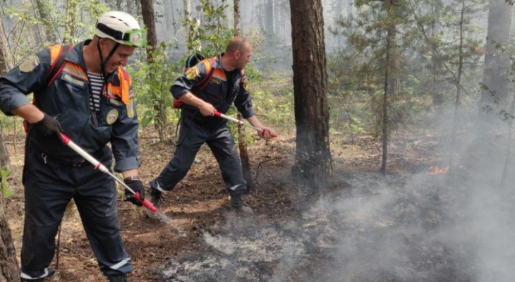 В лесах Пензенской области пожарные 12 часов боролись с огнем