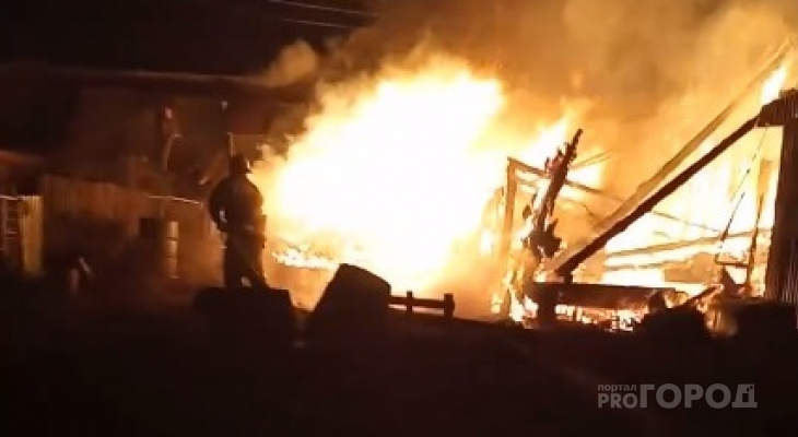 В Пензенской области случился страшный пожар – видео