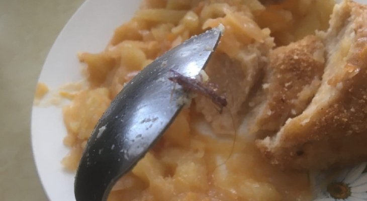 «Живой белок решили добавить»: в пензенском лицее подали обед с тараканом - фото