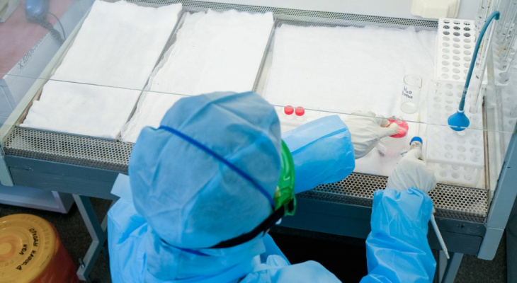 Оперативно: в Пензе за сутки коронавирусом заболели 22 человека