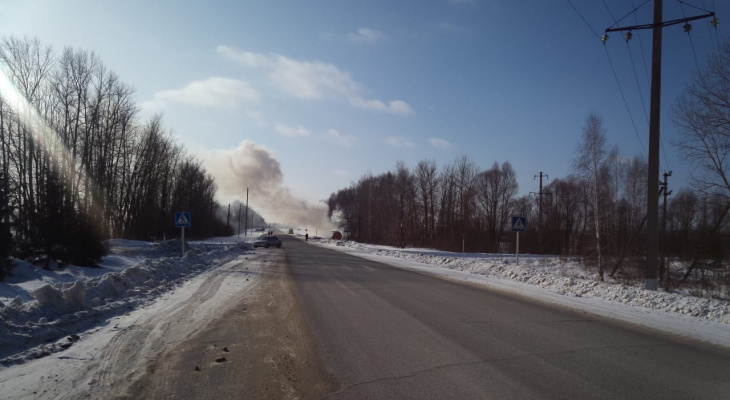 В Пензенской области 9 сотрудников МЧС боролись с огнем