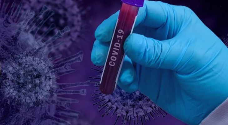 В Пензенской области коронавирус подтвердился еще у 203 человек