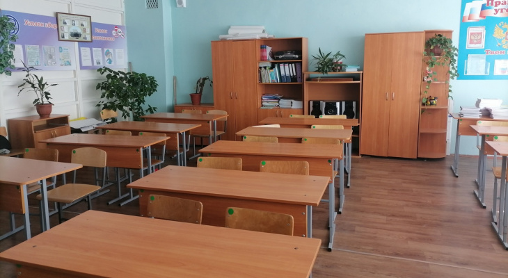 В 15 районах Пензенской области отменили занятия в школах