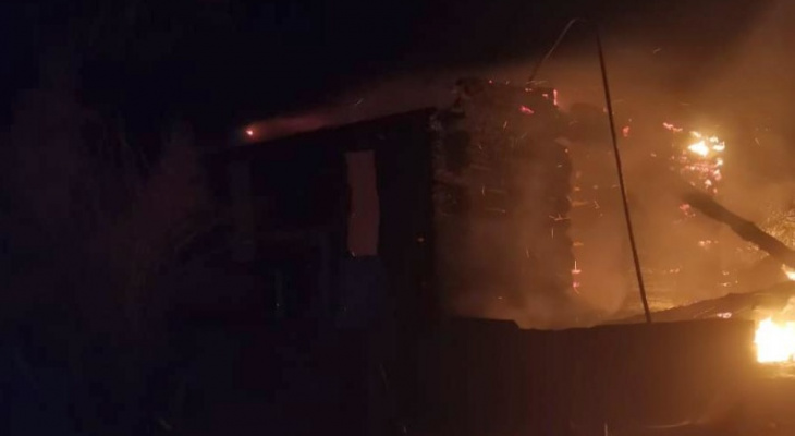 В Вадинском районе ночью произошёл пожар с пострадавшими