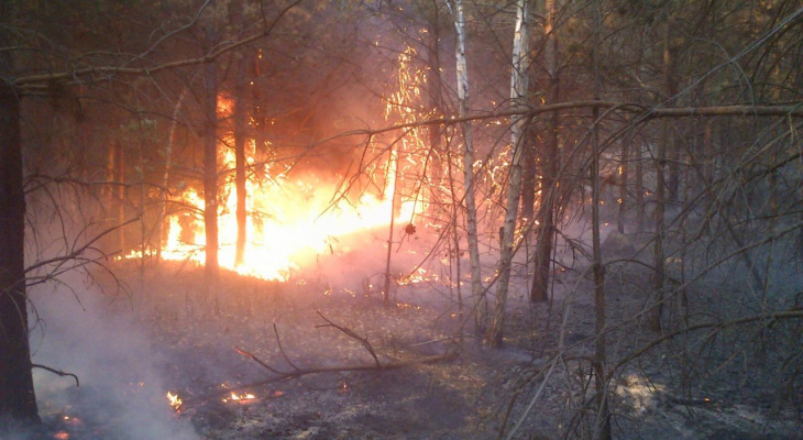 В Пензенской области продолжают полыхать лесные пожары