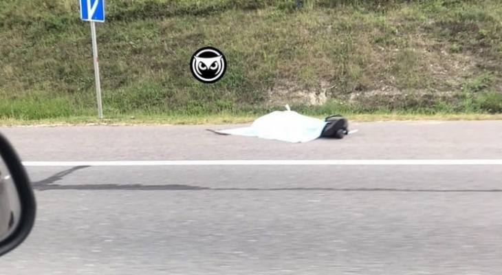 «Труп лежал на дороге»: Под Пензой был насмерть сбит пешеход