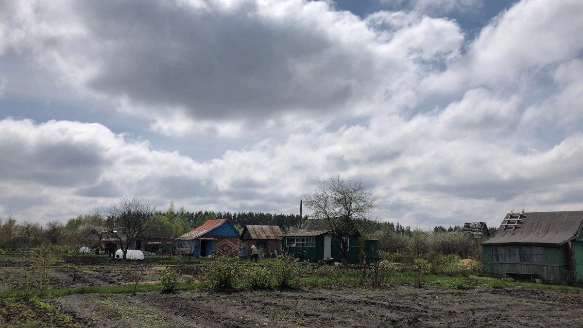 Рассада перца и помидоров будет пышной и здоровой: вот что нужно добавить в воду для полива