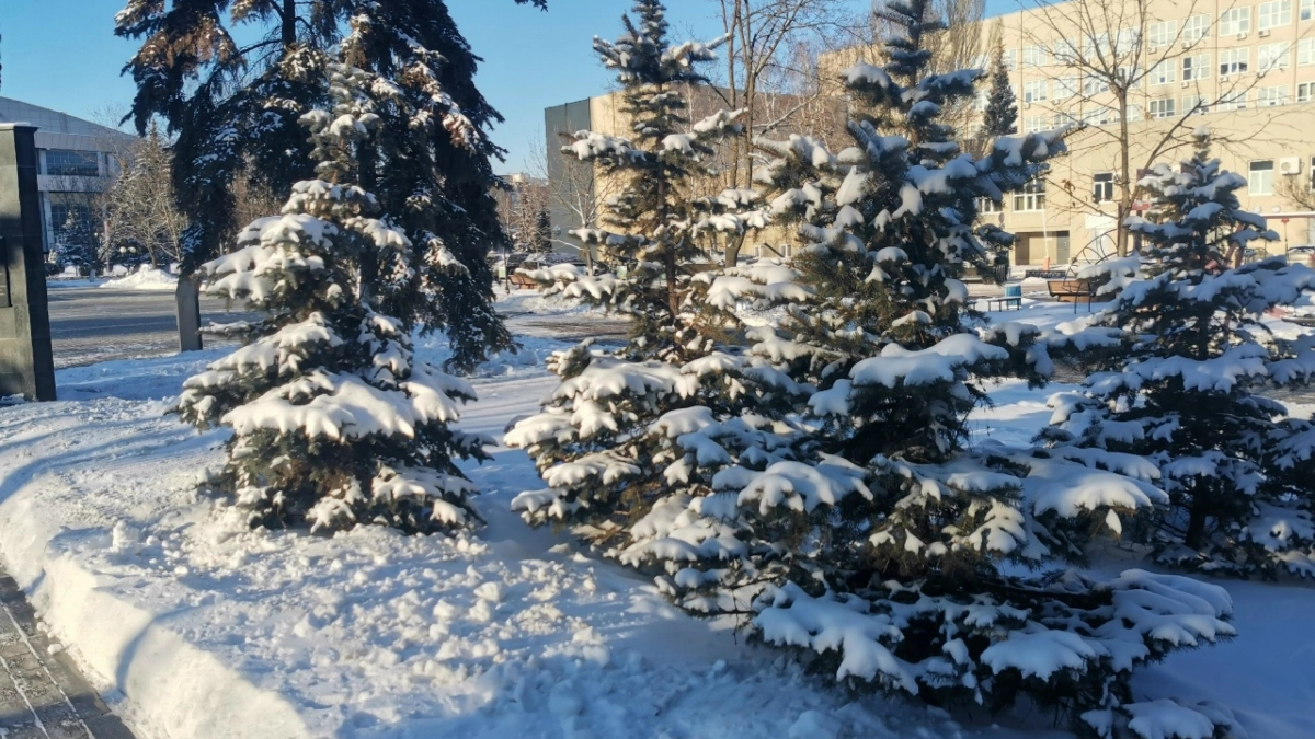 Жителей области предупреждают о сильном ветре