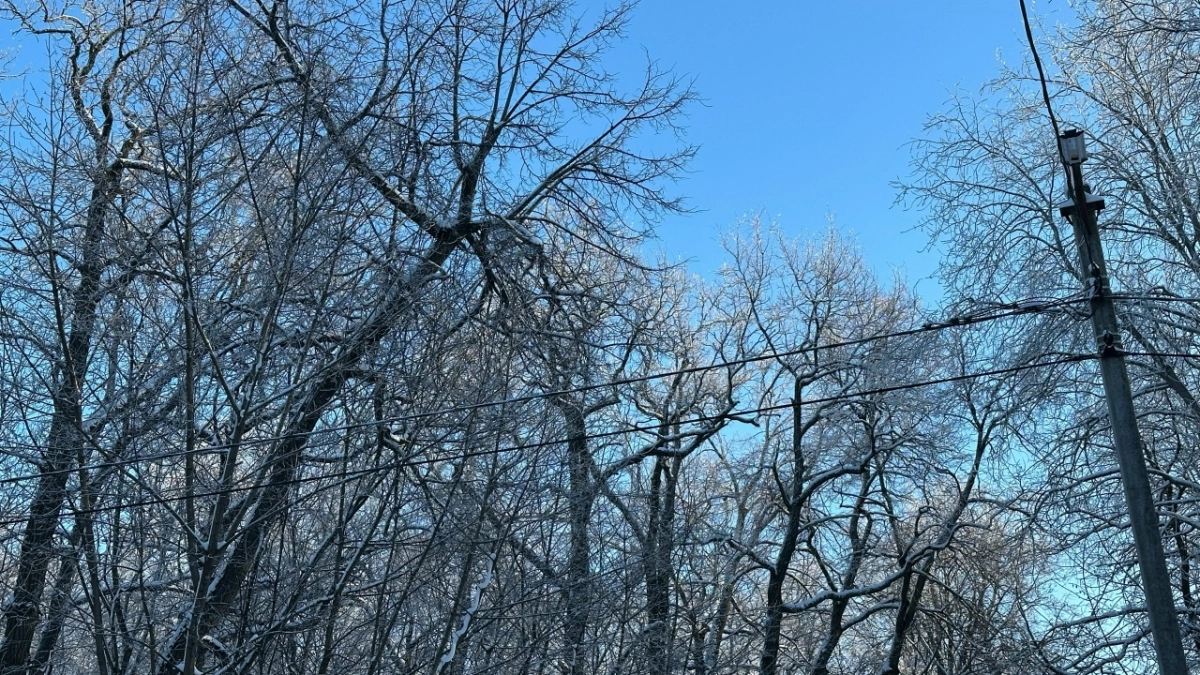 В Пензе и районах области резко усилится ветер