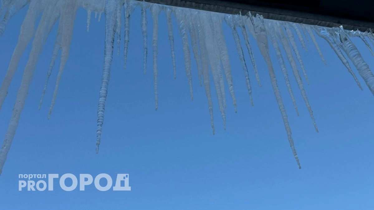 Бастрыкин заинтересовался трагедией на Ленинградской