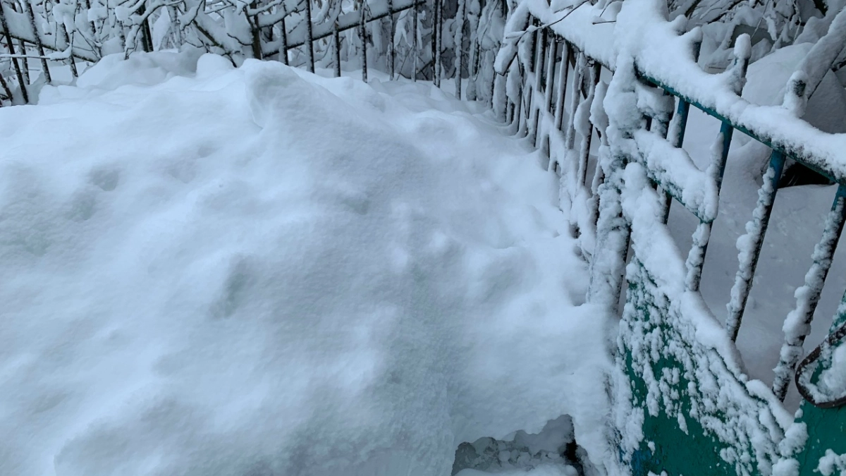 В Пензе под тяжестью снега сломалась летняя веранда кафе