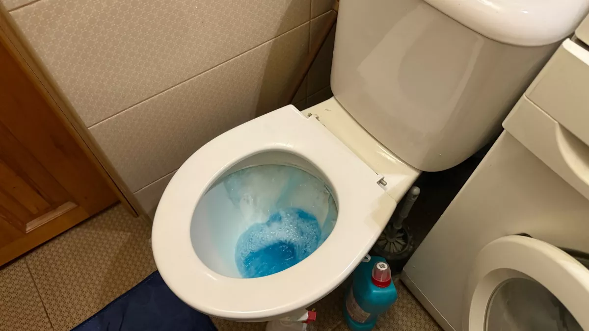 Как очистить унитаз без химии: лайфхак с бутылкой мыла